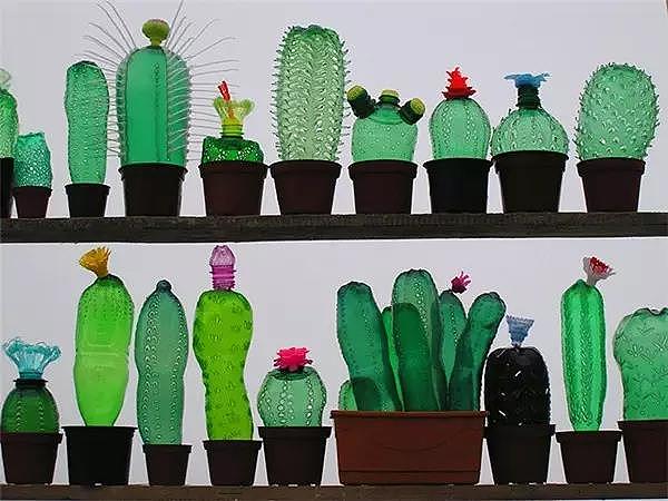 花草，塑料瓶，创意，设计，
