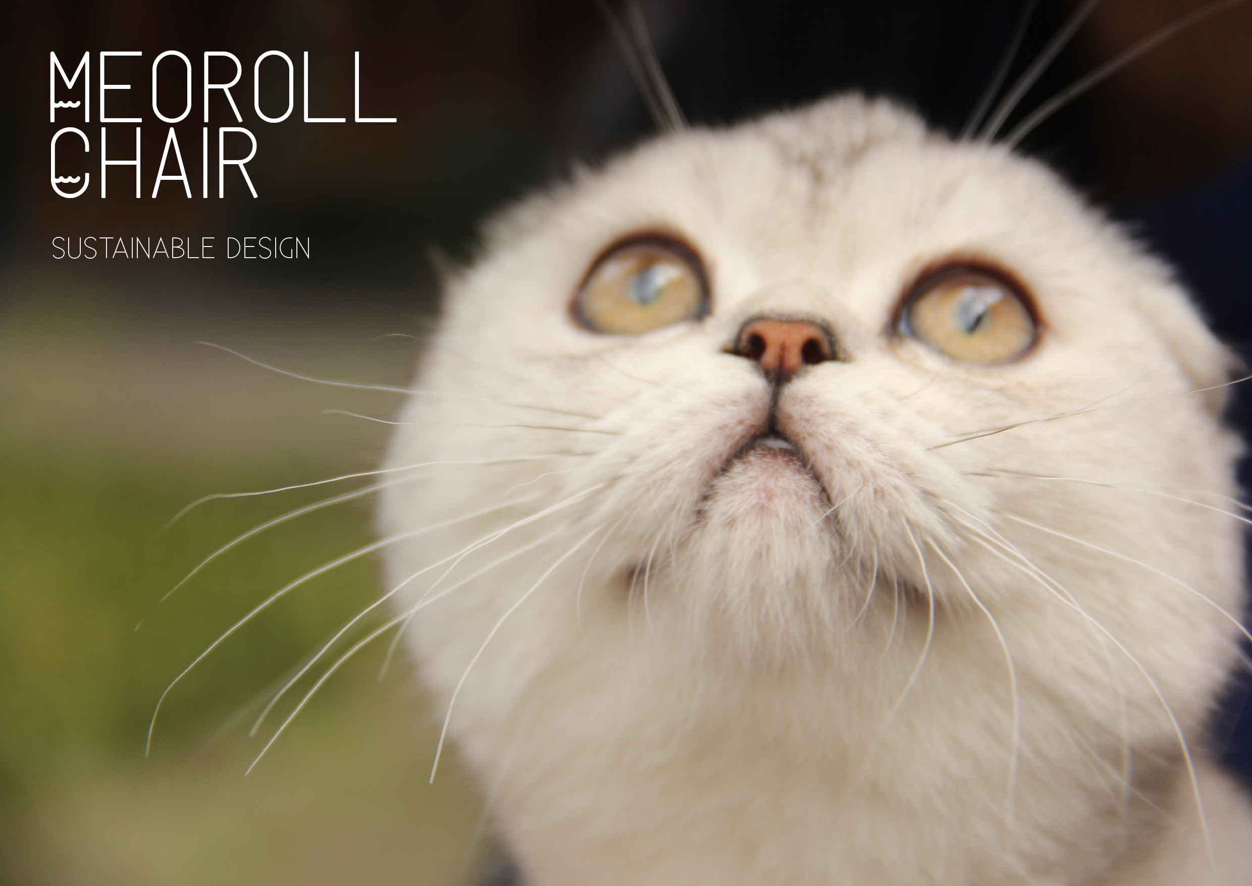 Sustainable development design course，bamboo furniture，