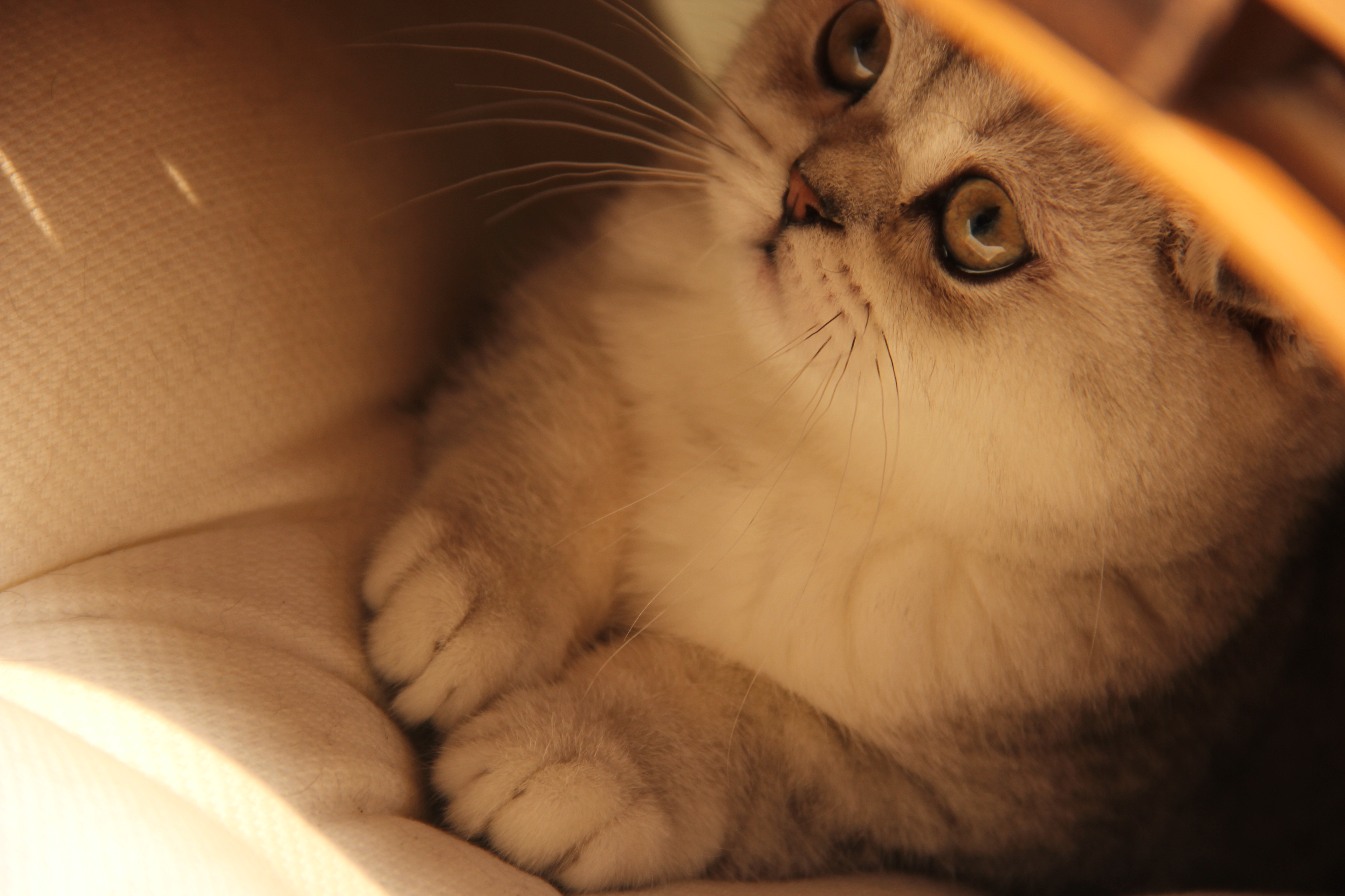 Sustainable development design course，bamboo furniture，