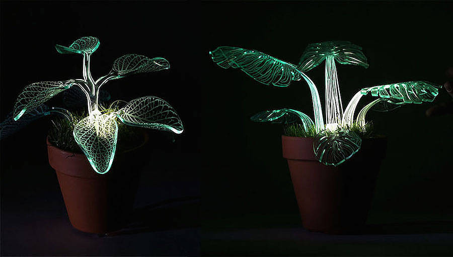 Potted plants，lamp，flowers and plants，