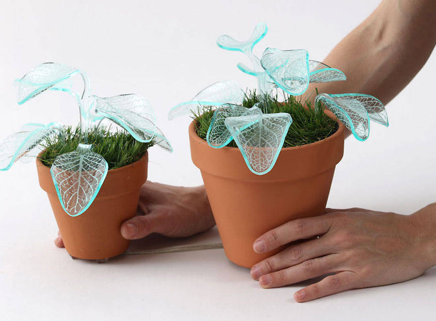 Potted plants，lamp，flowers and plants，