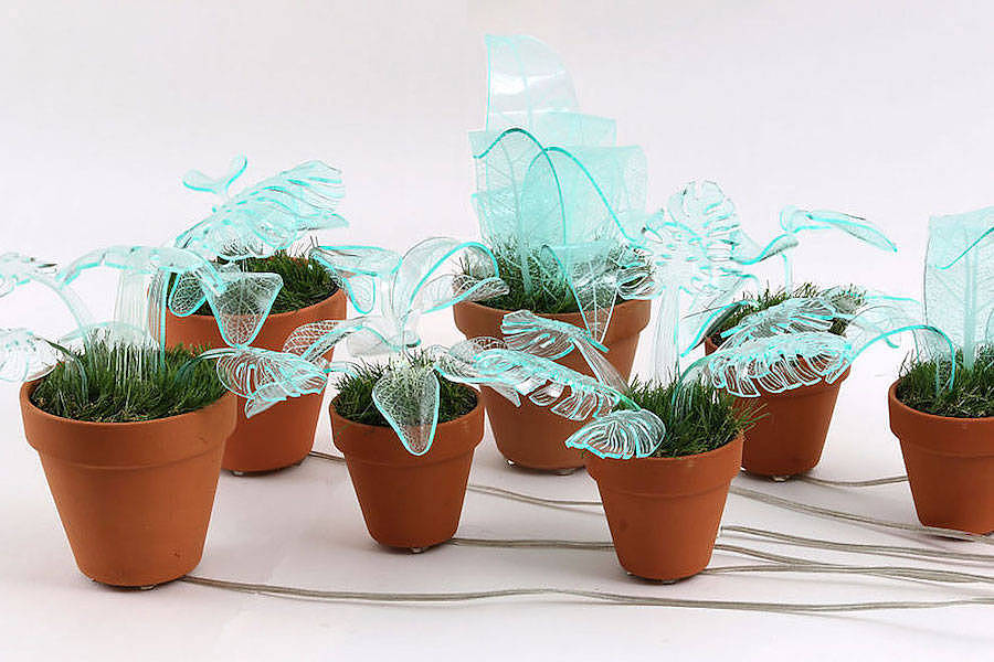 Potted plants，lamp，flowers and plants，