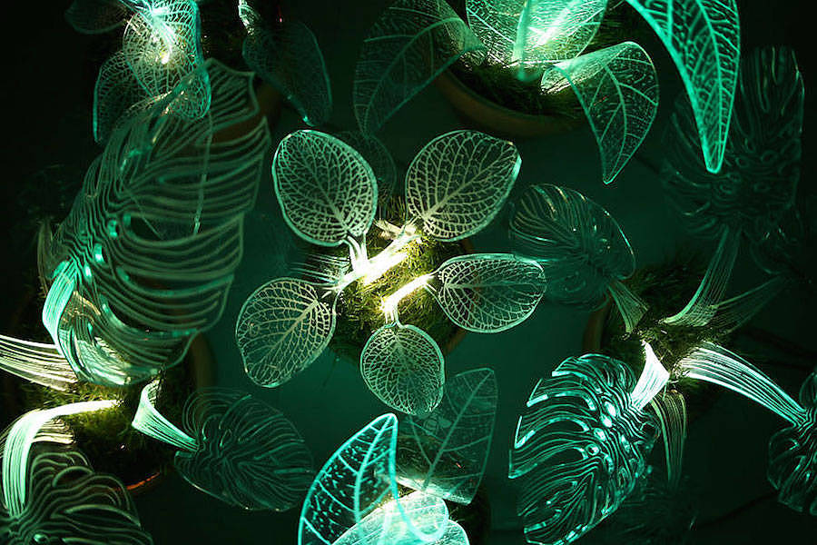 Potted plants，lamp，flowers and plants，