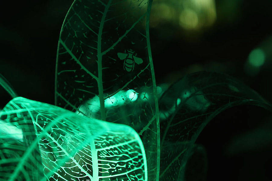 Potted plants，lamp，flowers and plants，