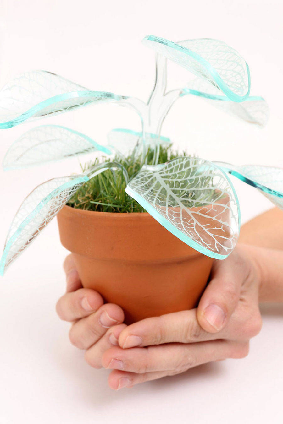 Potted plants，lamp，flowers and plants，