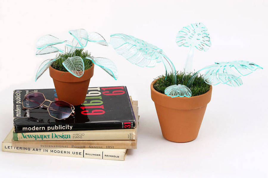 Potted plants，lamp，flowers and plants，