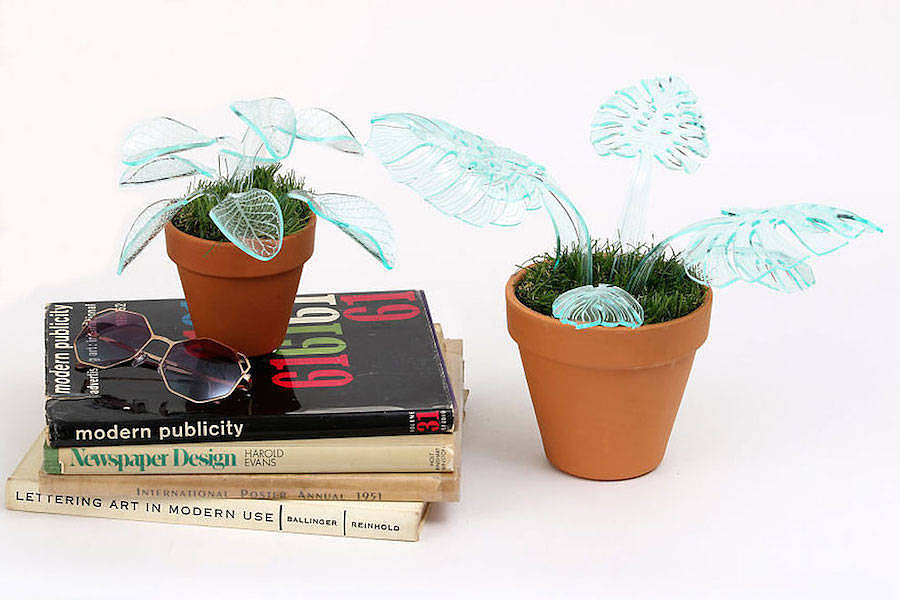 Potted plants，lamp，flowers and plants，