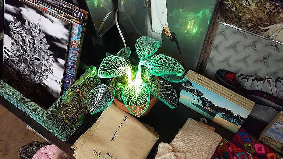 Potted plants，lamp，flowers and plants，
