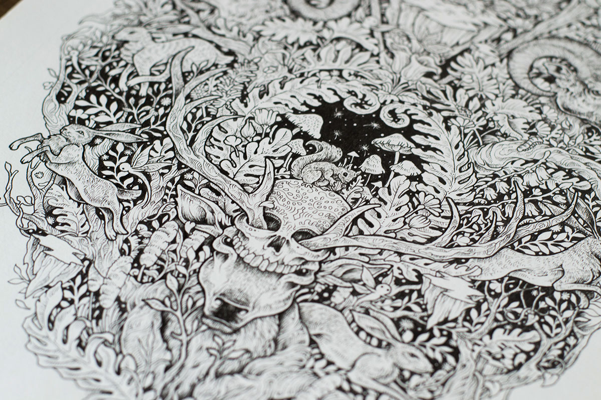 painting，Needle pen，shoes，Hand drawn，