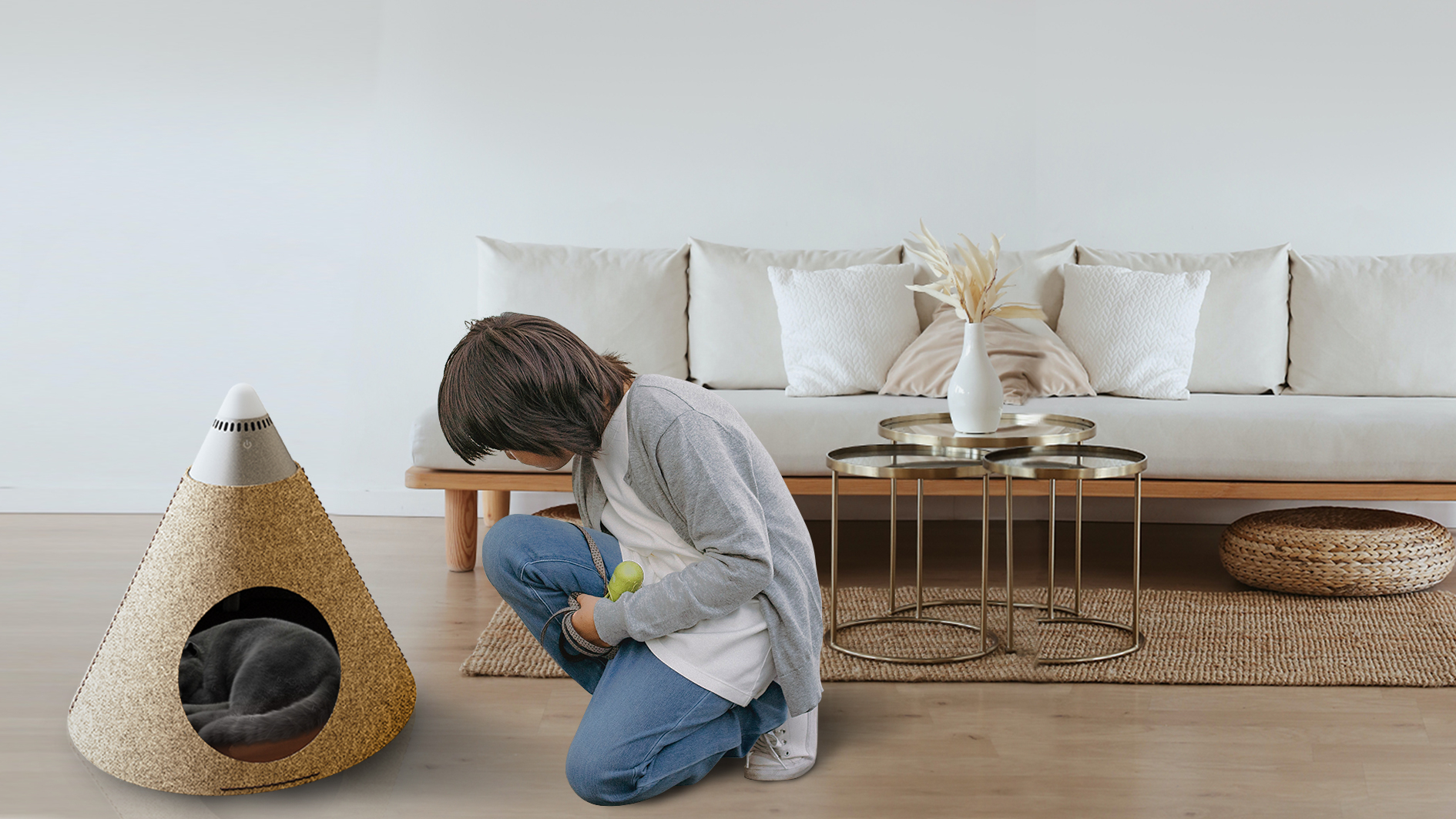 Pets，life，warm，