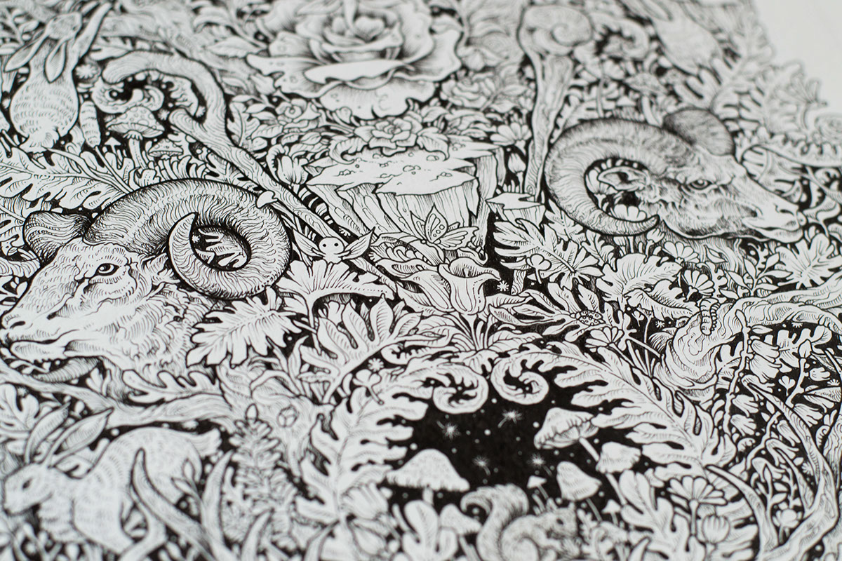 painting，Needle pen，shoes，Hand drawn，