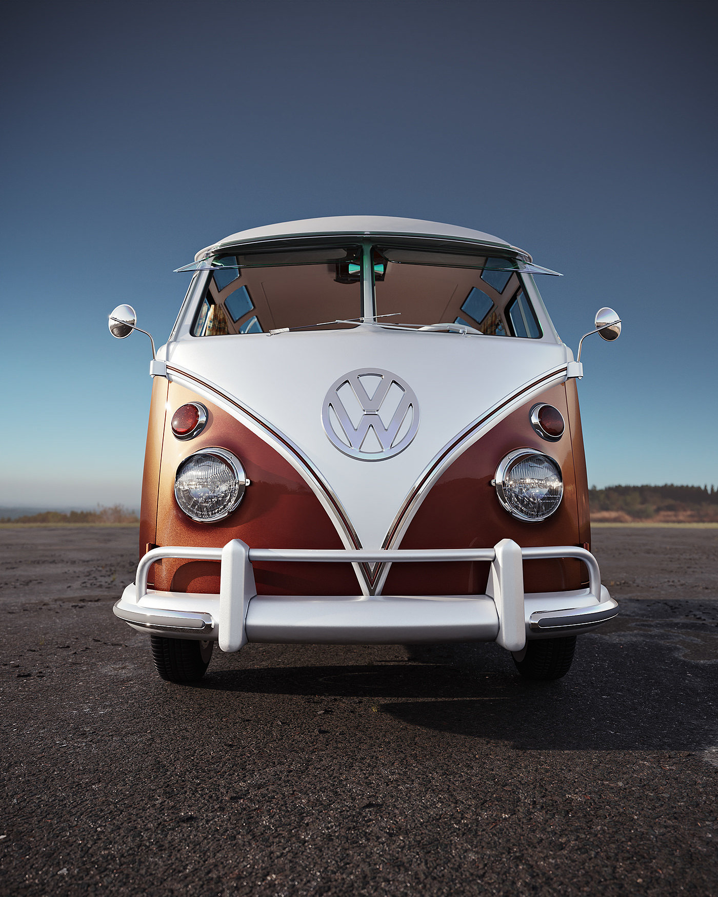 VW Van，Rato borrachudo，车，