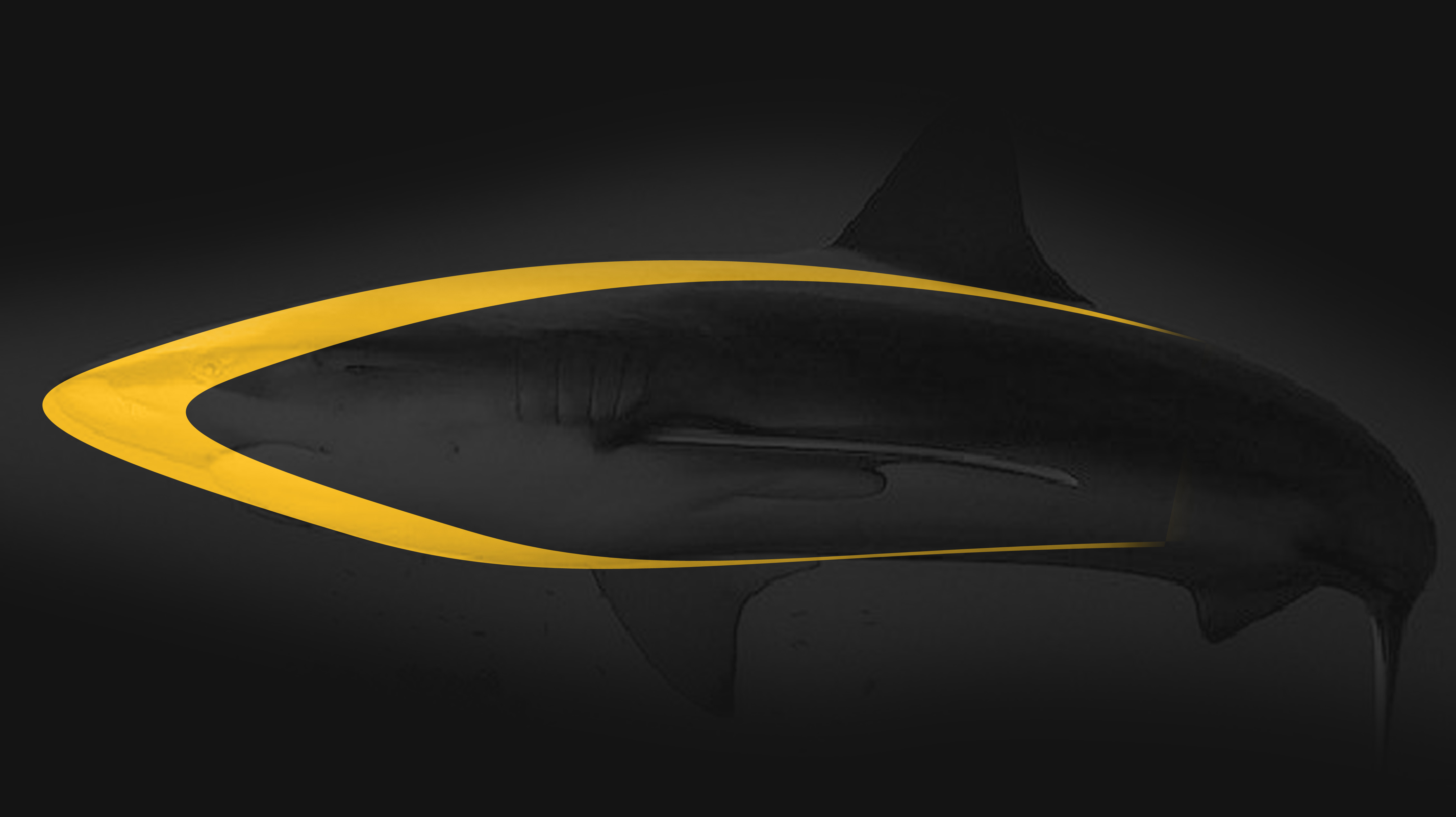 Electric tool，lawn mower，