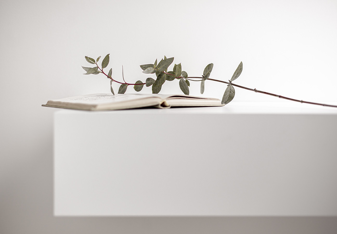 Turovksokogo，Minimalism，apartment，