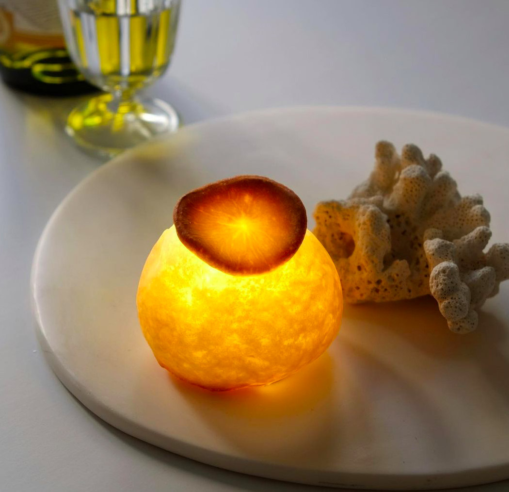 Clock，lamp，Pampshade series，bread，