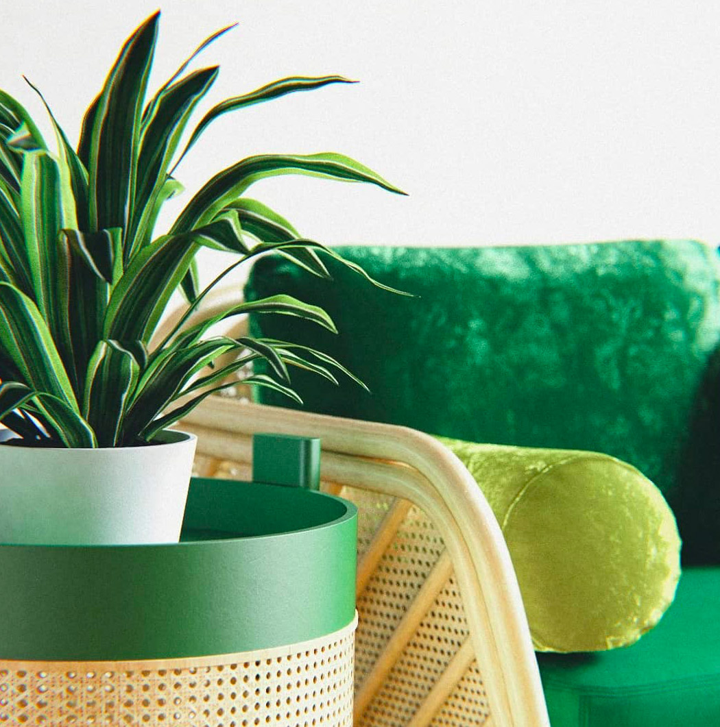 furniture，Pets，Rattan，