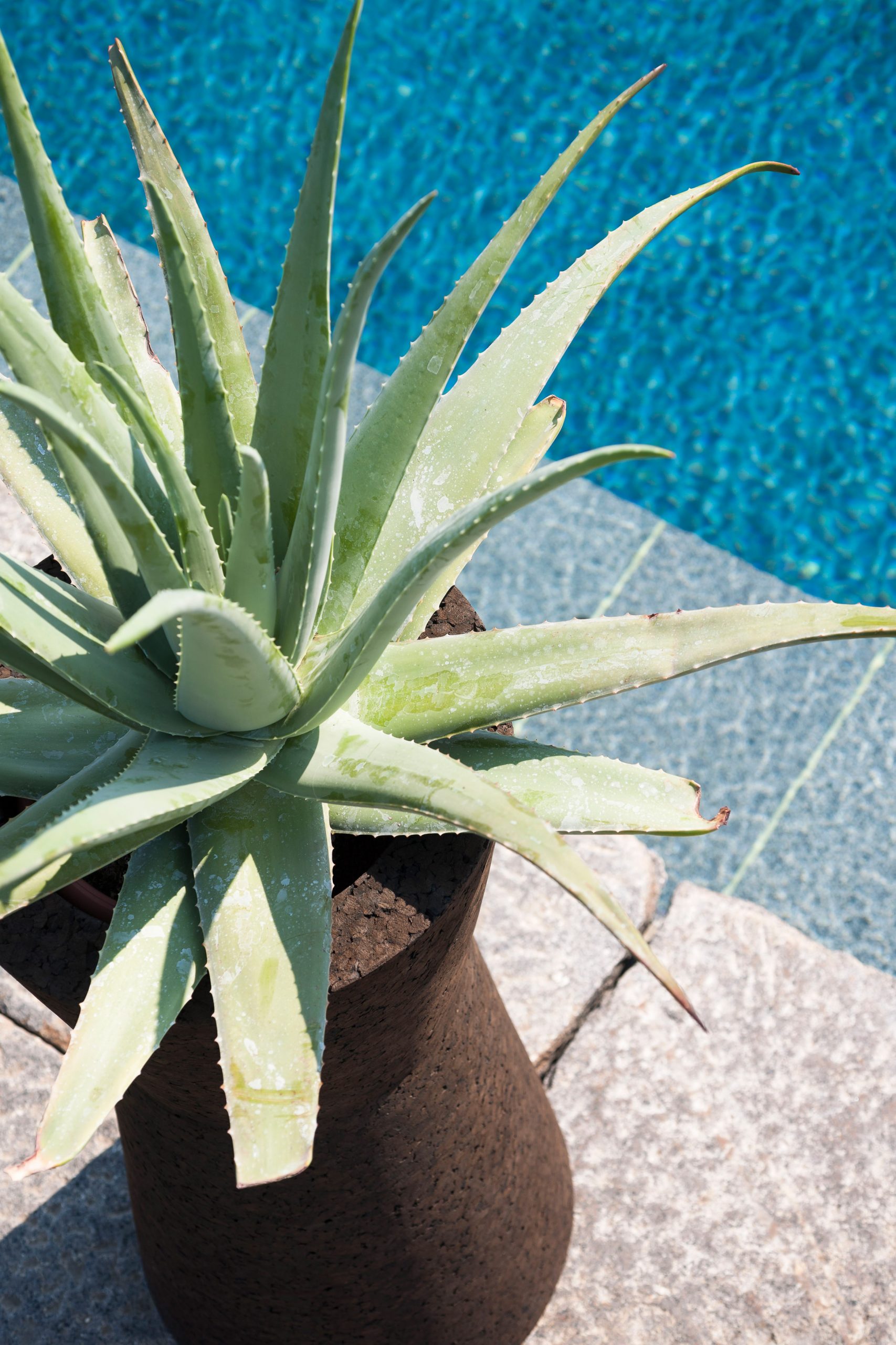 Wheel，furniture，Housewear & Furnishings，Outdoor furniture，