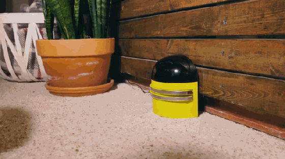Intelligent dog walking robot，