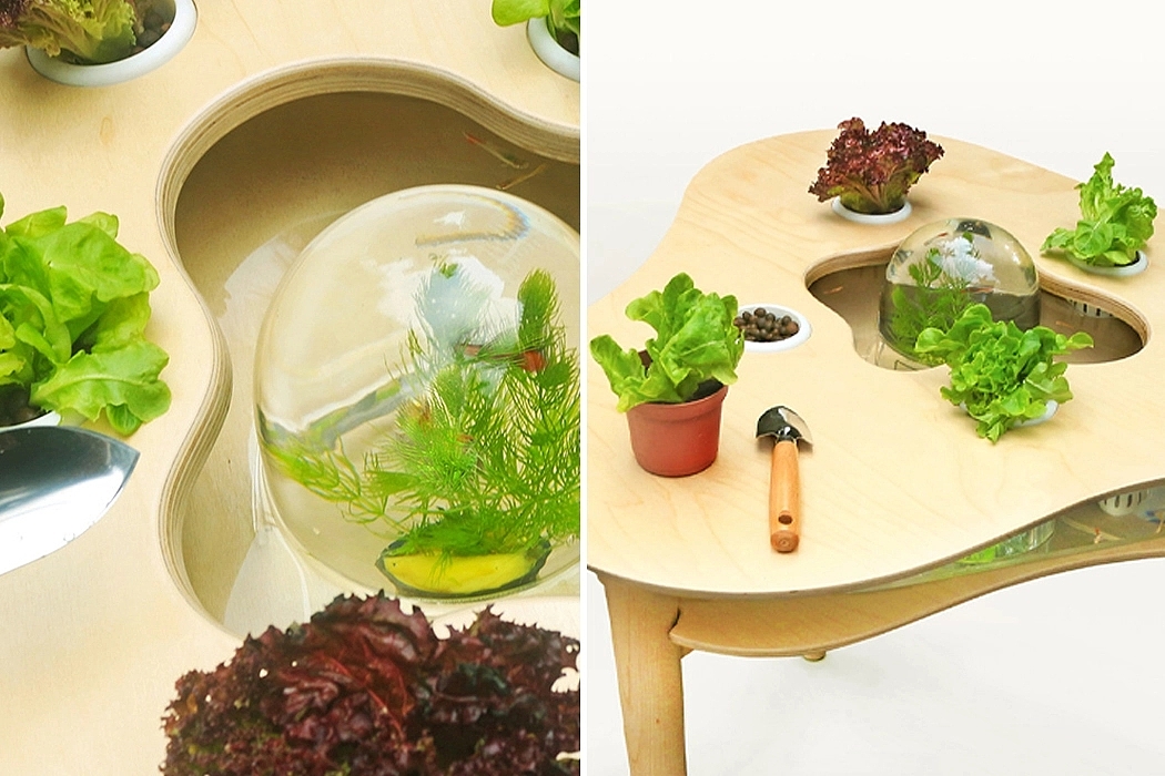 Horticultural Therapy，medical care，Lively Greens，