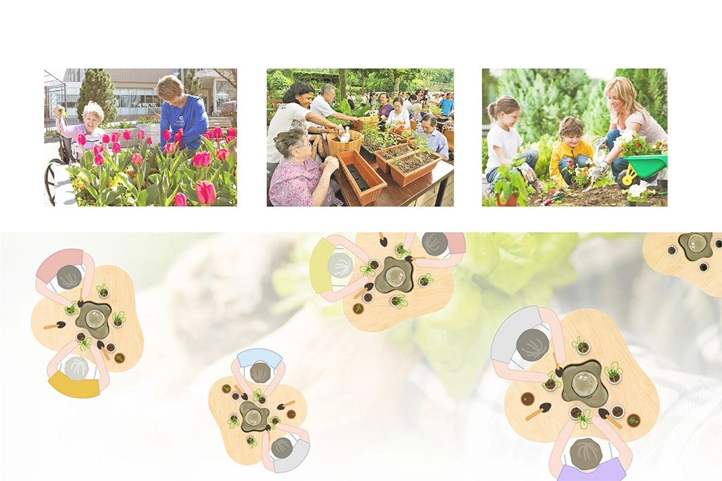 Horticultural Therapy，medical care，Lively Greens，