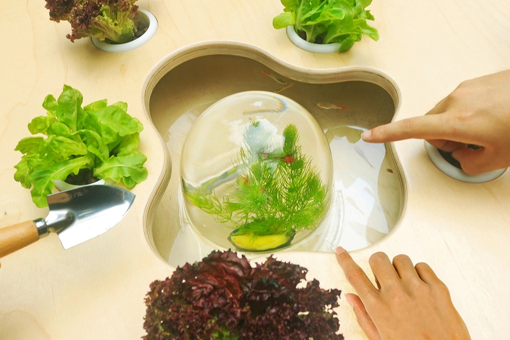 Horticultural Therapy，medical care，Lively Greens，