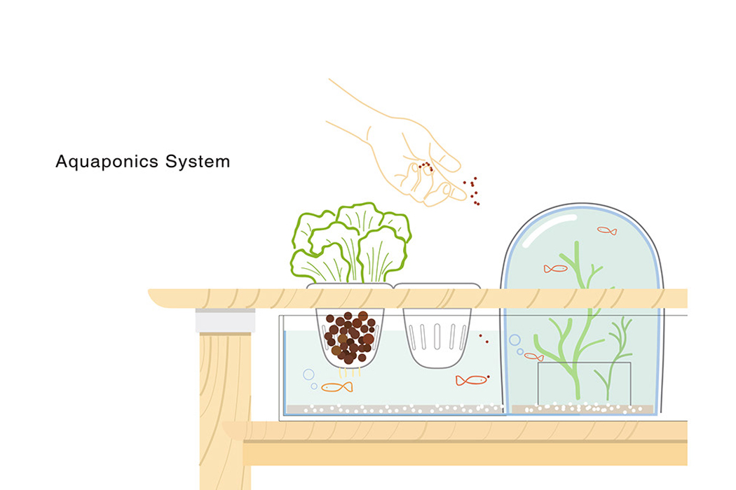 Horticultural Therapy，medical care，Lively Greens，