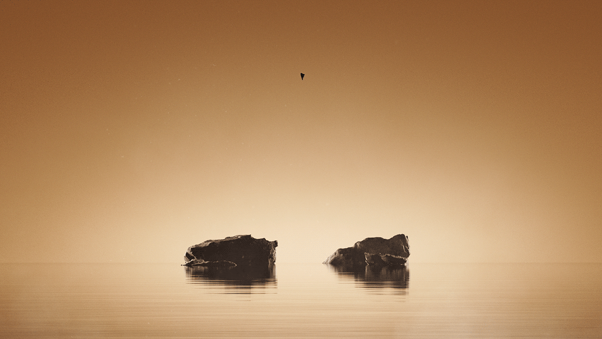 Graphics card，MSI，black，