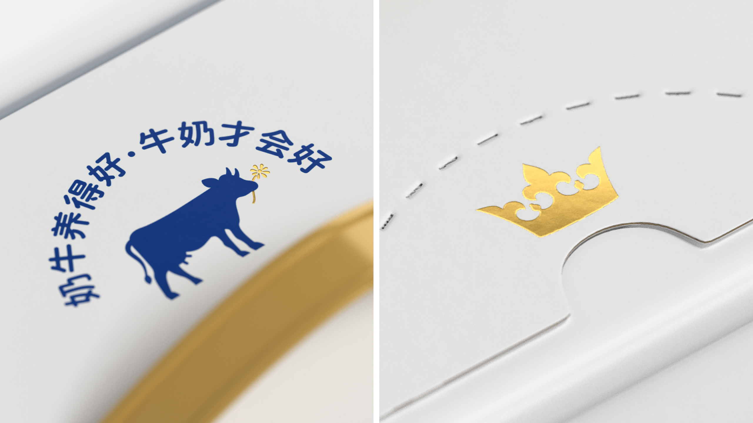 packing design，food，milk，