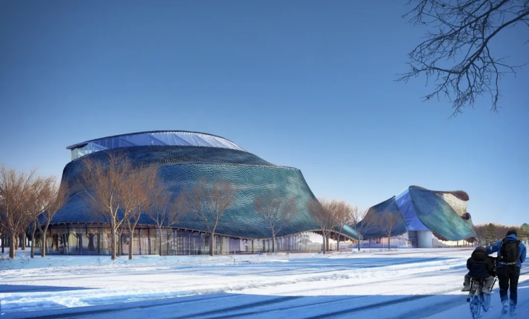 conceptual design，Curve design，