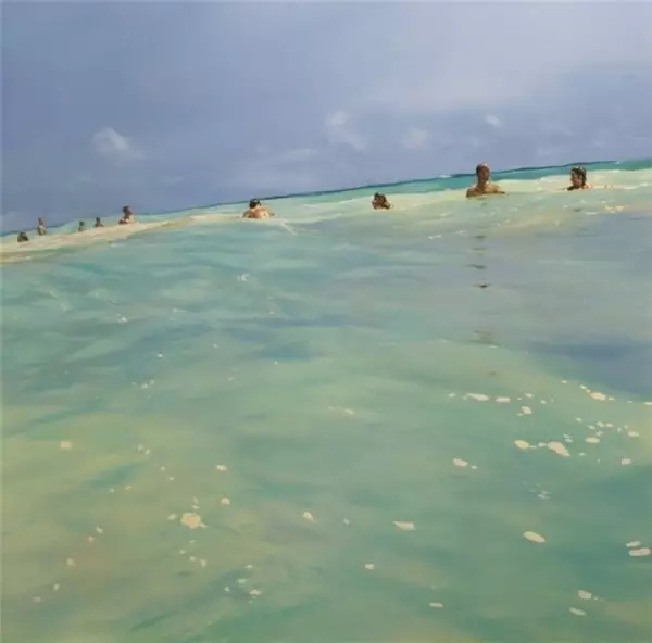 painter，painting，Art，originality，