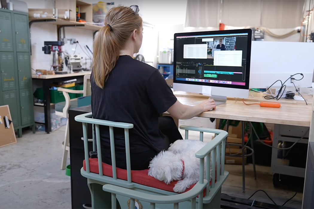 furniture，originality，Pet Supplies & Pet，Simone Giertz，