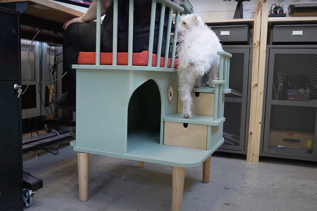 furniture，originality，Pet Supplies & Pet，Simone Giertz，