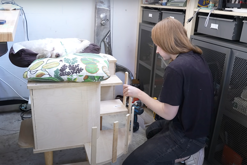 furniture，originality，Pet Supplies & Pet，Simone Giertz，