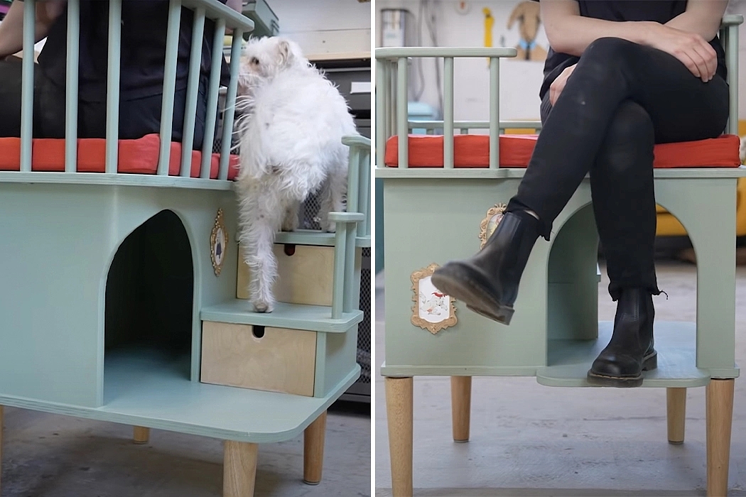 furniture，originality，Pet Supplies & Pet，Simone Giertz，