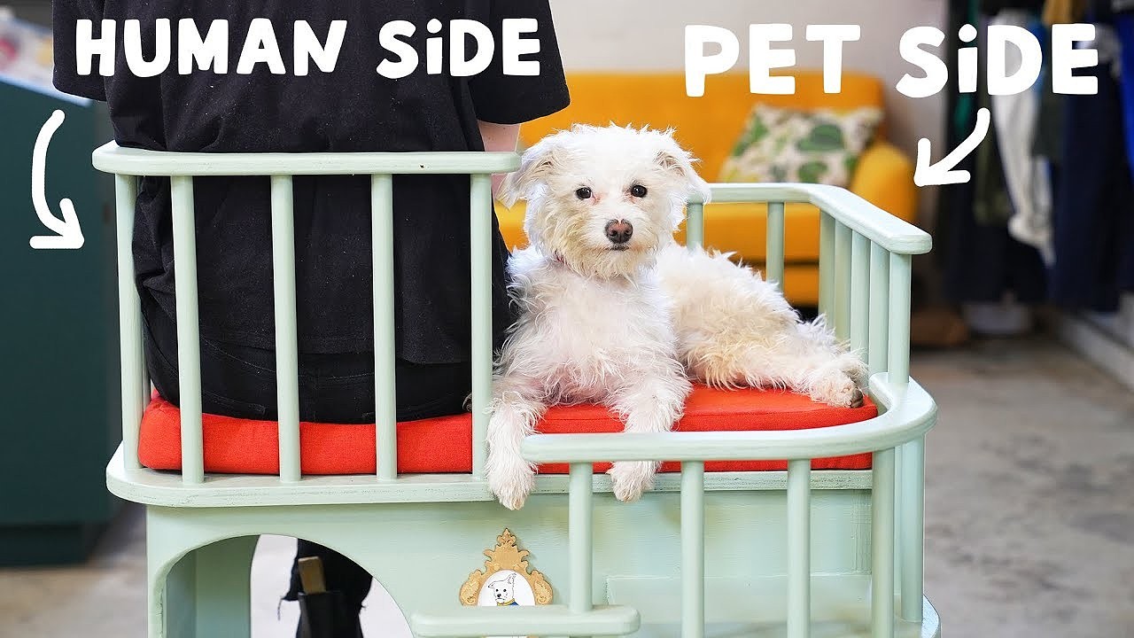 furniture，originality，Pet Supplies & Pet，Simone Giertz，