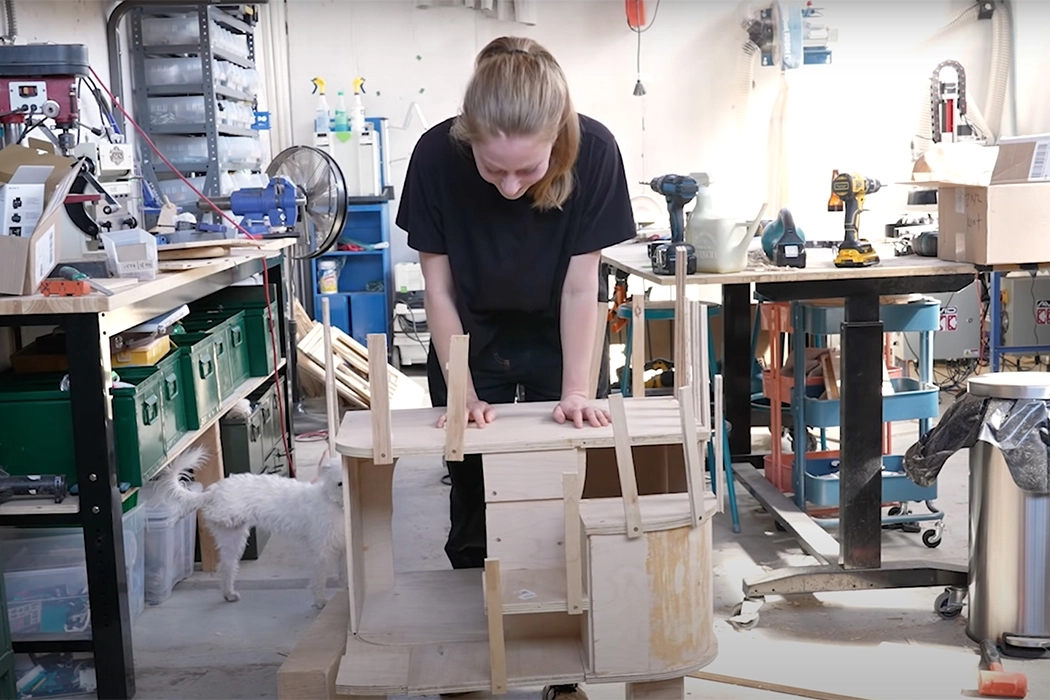 furniture，originality，Pet Supplies & Pet，Simone Giertz，