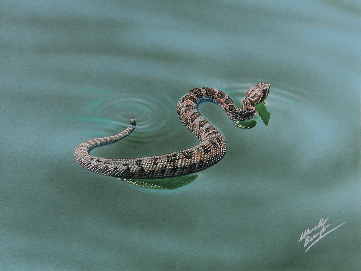 3d，Realistic，lifelike，Paintings，