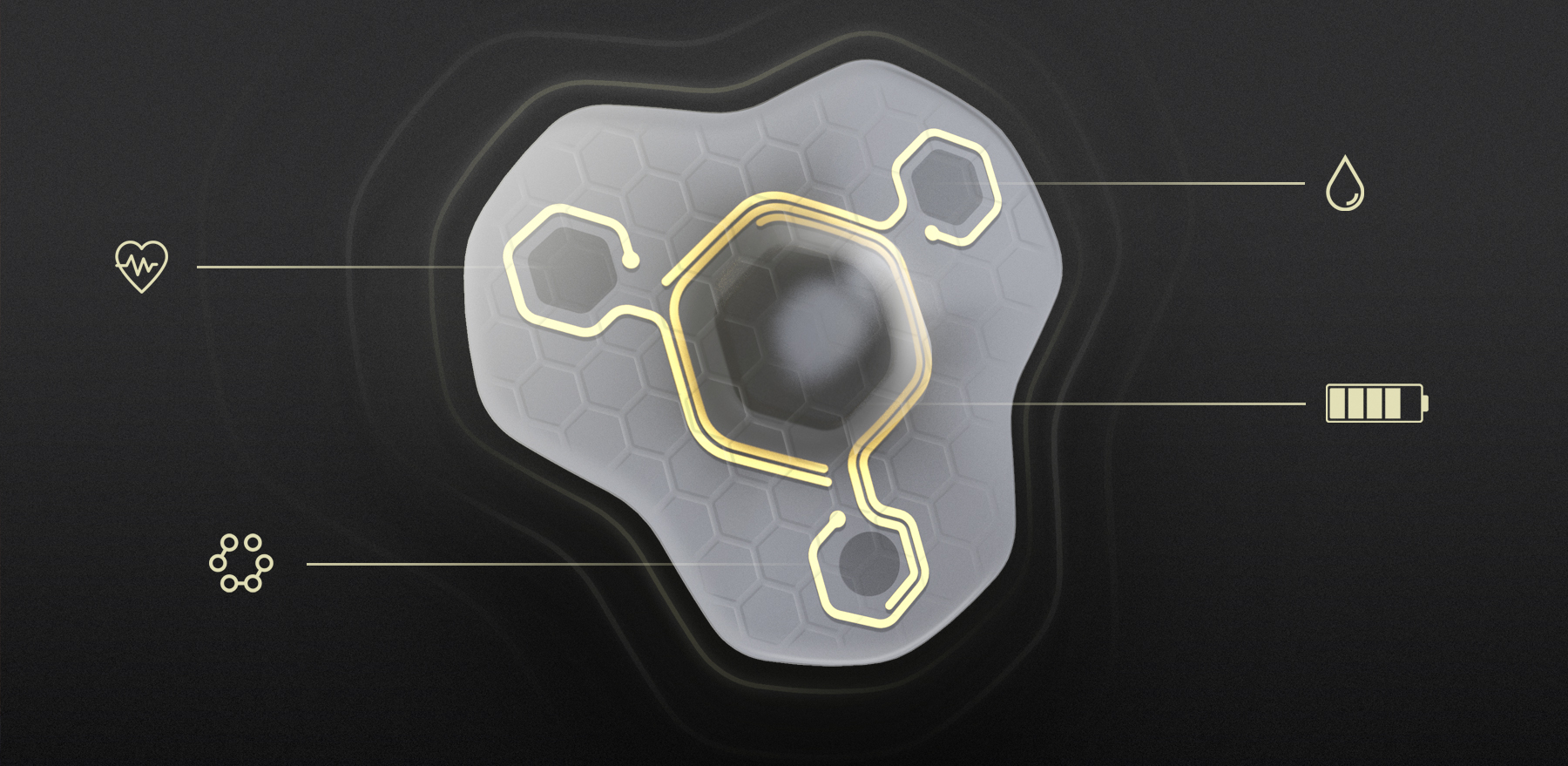 Bodybuilding，Health monitoring，Wear，motion，Wearable ，