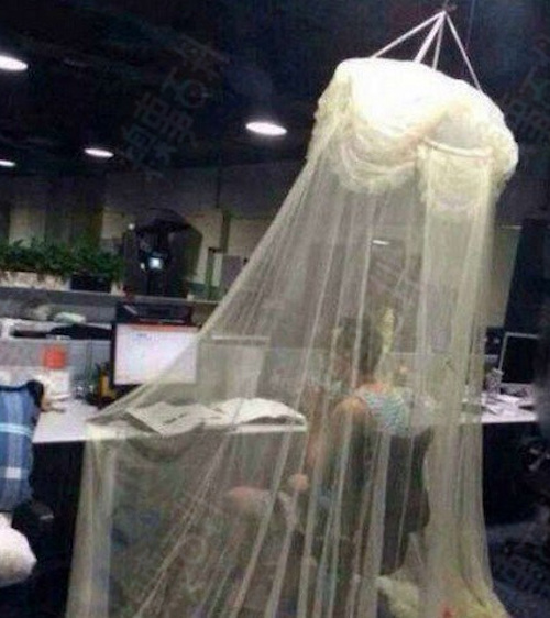 originality，tool，work overtime，designer，