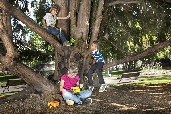 If Award，Lunch box，Portable，double-deck，container，