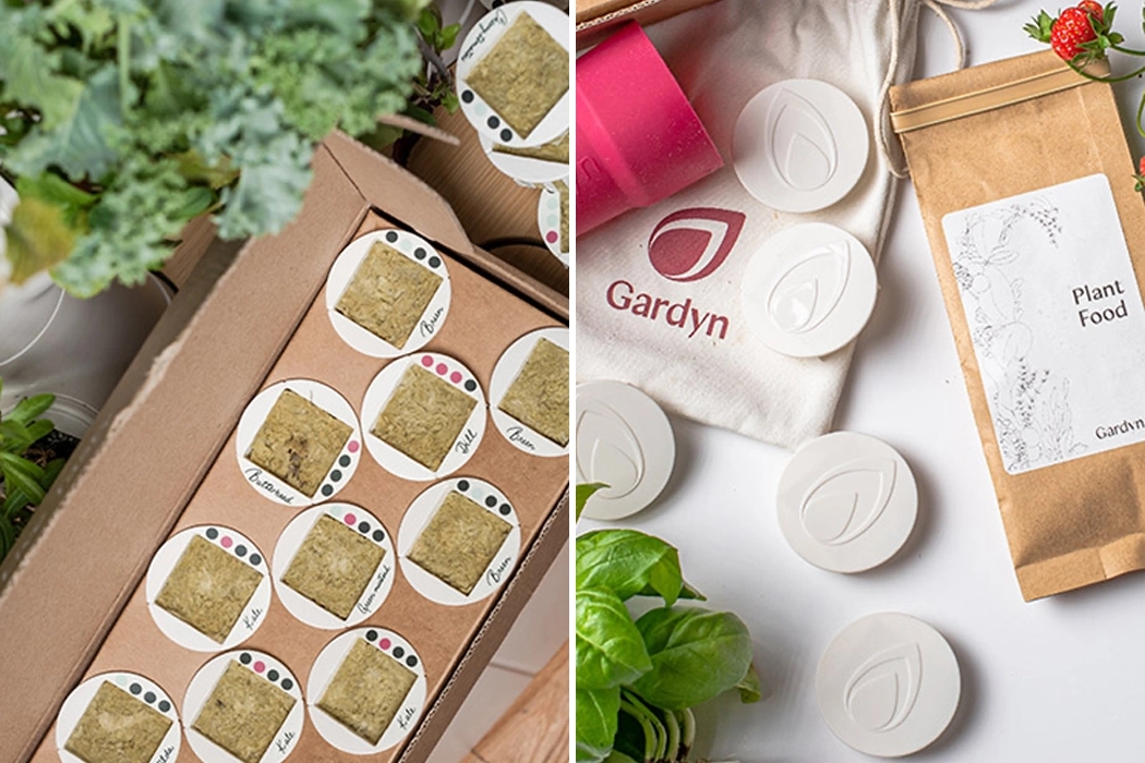 garden，indoor，Botany，green，