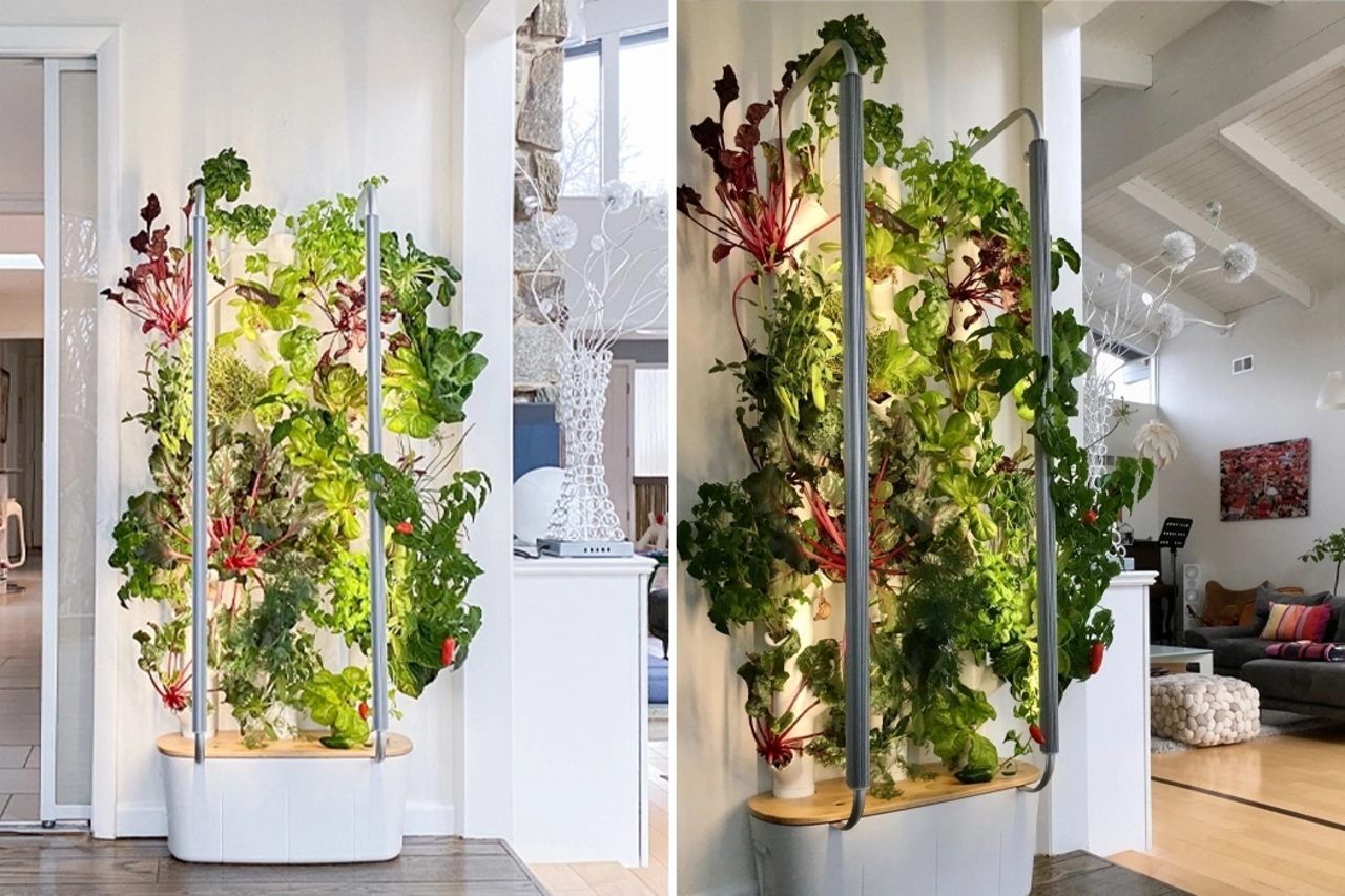 这个室内花园可让您在舒适的家中种植三十棵植物 普象网 这个室内花园可让您在舒适的家中种植三十棵植物 普象网