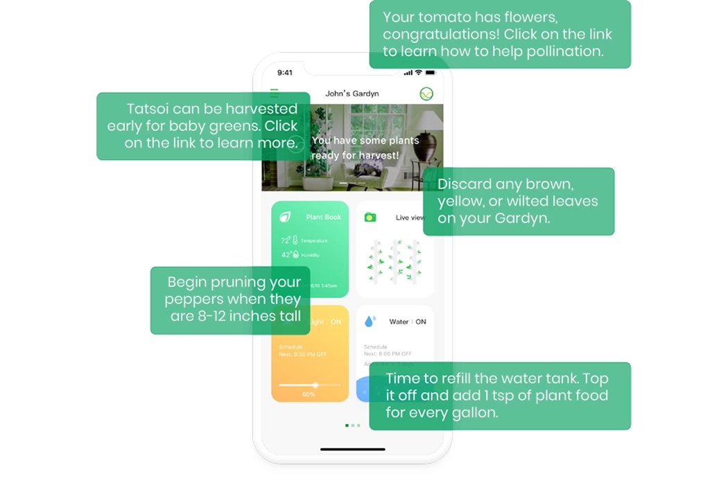 garden，indoor，Botany，green，