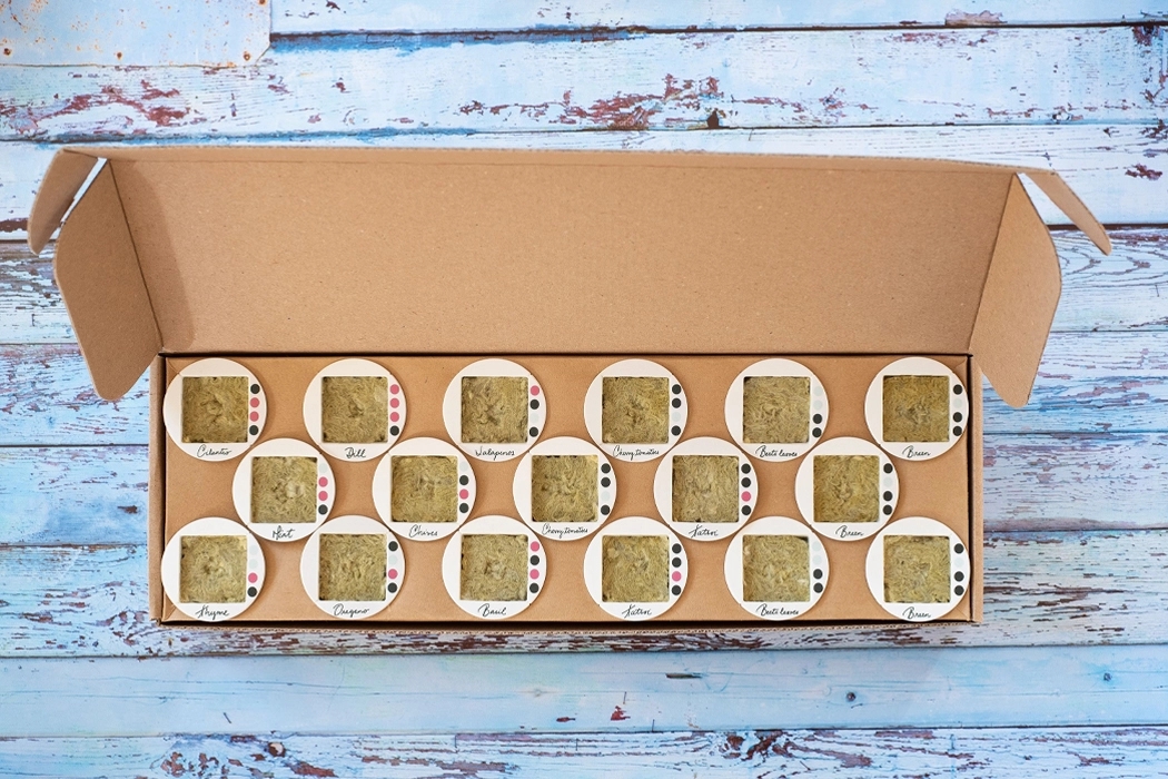 garden，indoor，Botany，green，