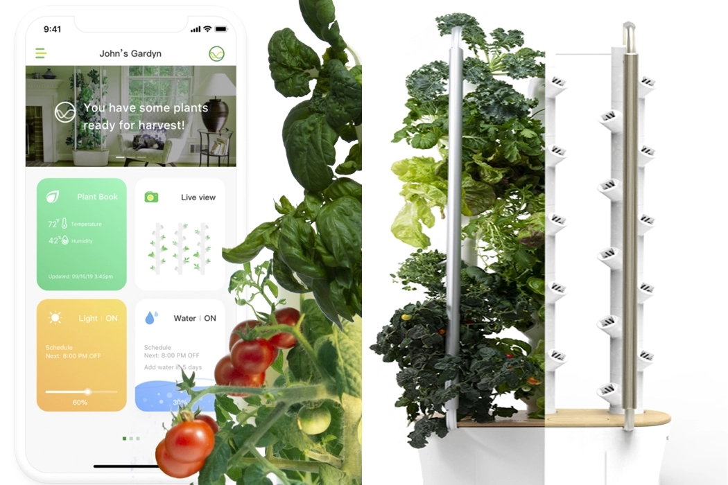 garden，indoor，Botany，green，