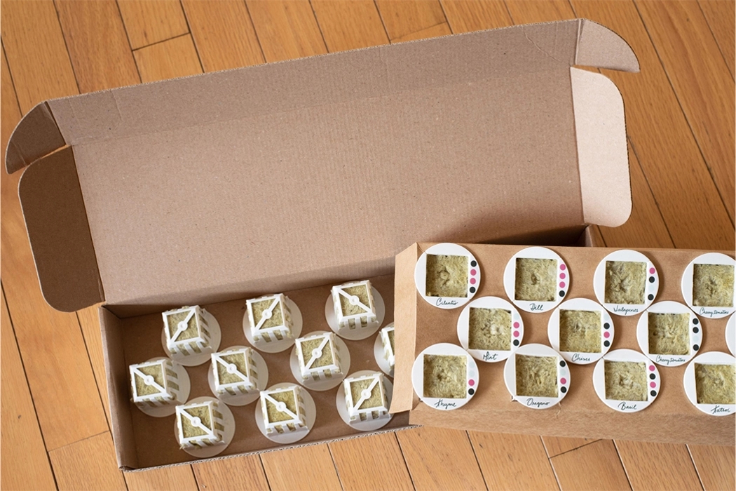 garden，indoor，Botany，green，