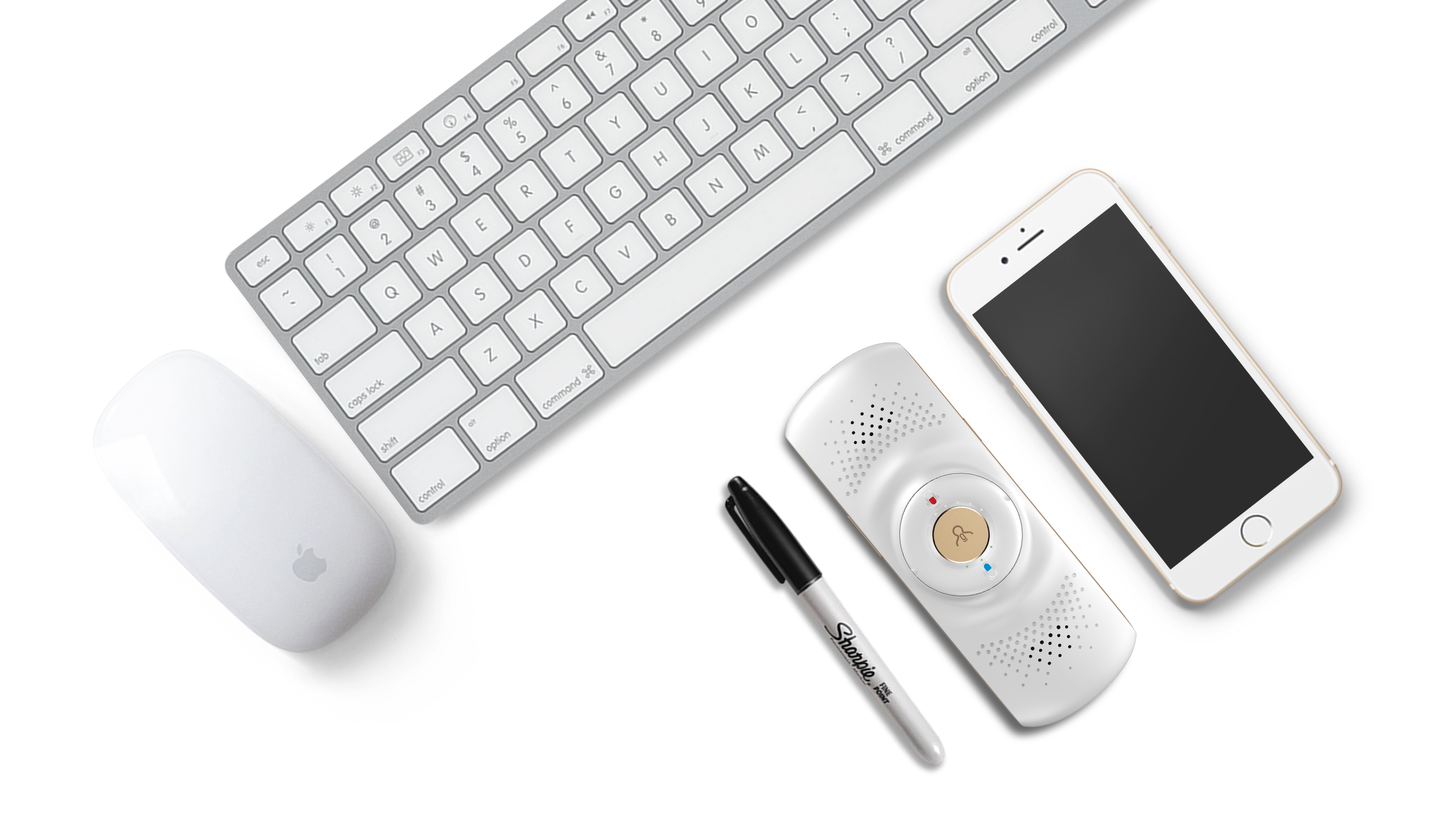 IFLYTEK's first translator，Multilingual translation，