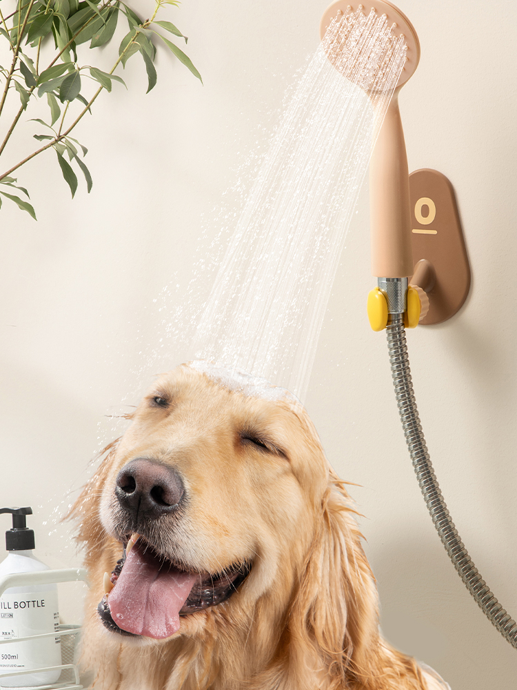 original，Pot shovel rack，Mop hanger，Shower support，Air bag comb，Explorer，Object，Ren Peng，