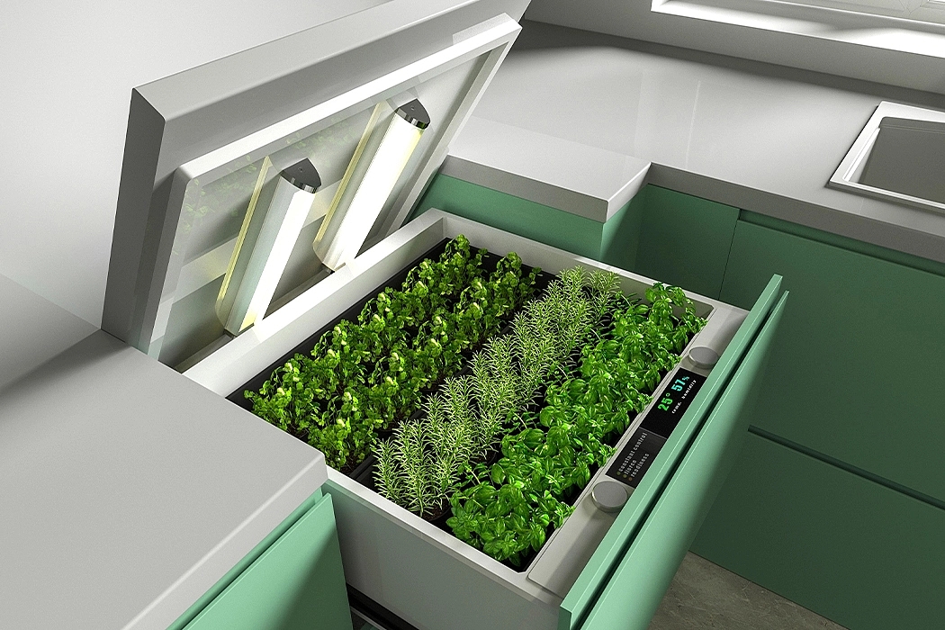 compact，plant，green food，Save space，monitor，