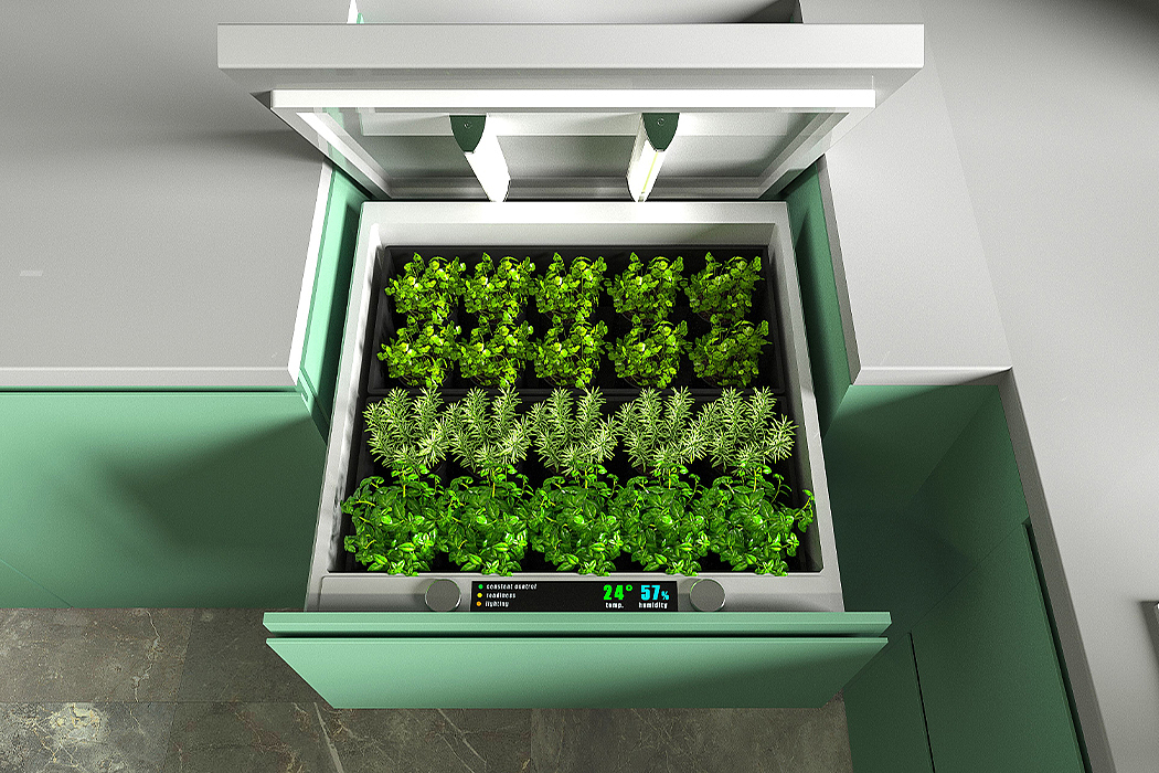 compact，plant，green food，Save space，monitor，